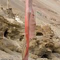 Inde2008-1717-2