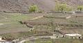 Inde2008-1721-2