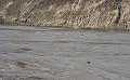 Inde2008-1763