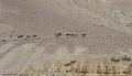 Inde2008-1684